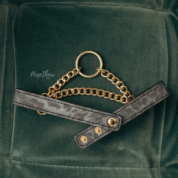 Cougar Day Collar — image 14 of 24