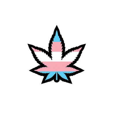 trans pride leaf enamel pin