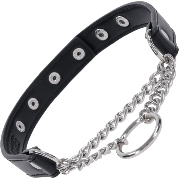 Shadow Day Collar — image 13 of 20