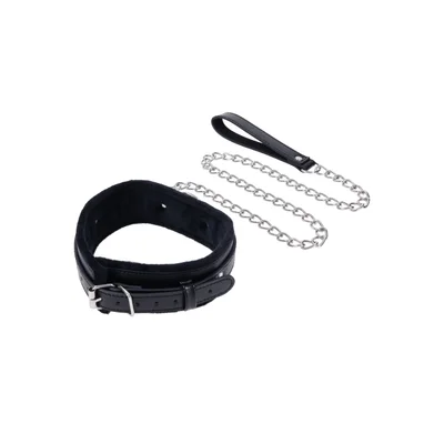 shadow collar and leash