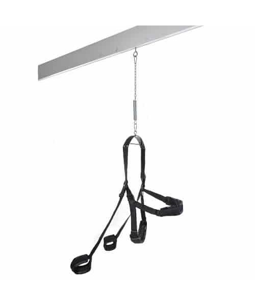 Fetish Fantasy Sex Swing