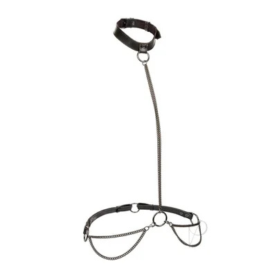 euphoria collection chain haltercollar and leash black