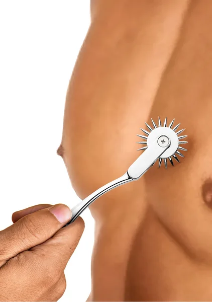 Silver Sensation Wartenberg Wheel — image 2 of 7