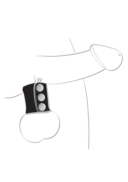 BallGear Ball Stretcher — image 2 of 6