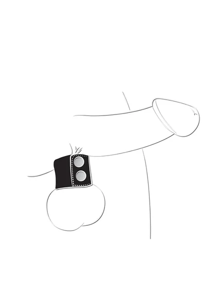 BallGear Ball Stretcher — image 5 of 6