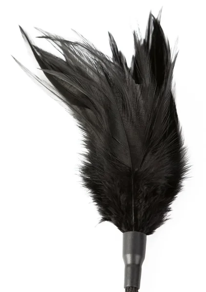 Slap and Tickle - Dual Ended Crop and Tickler — image 4 of 5