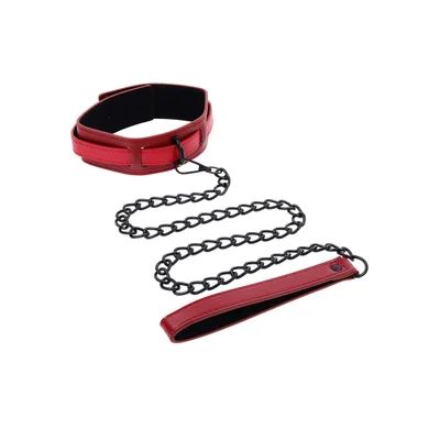 exs and ohs collar and leash