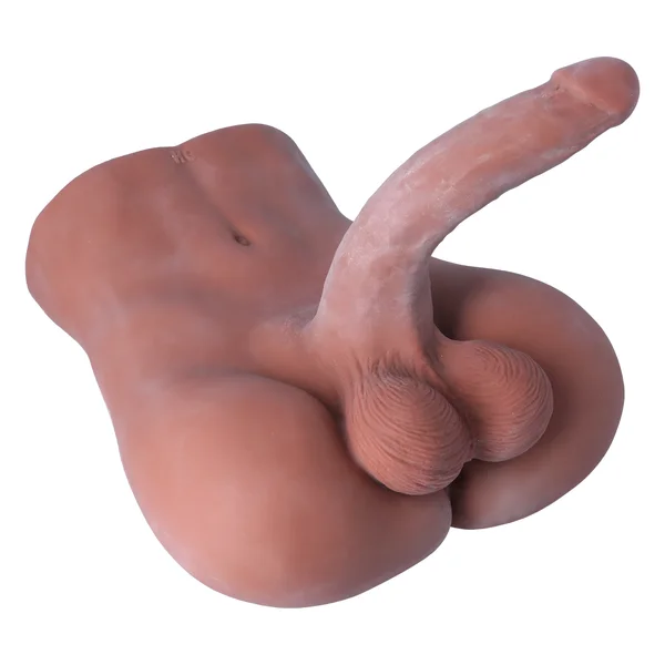 Male Torso Masturbator - Rideable Cock & Textured Ass — image 7 of 14