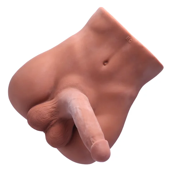 Male Torso Masturbator - Rideable Cock & Textured Ass — image 8 of 14