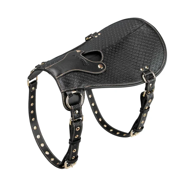 Rebellion Reign Dildo Saddle - One Saddle, Endless Ways To Play! — image 3 of 7