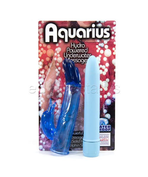 Aquarius dolphin