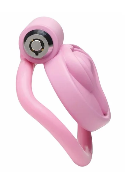 Pussification Vulva Chastity Cage — image 2 of 7