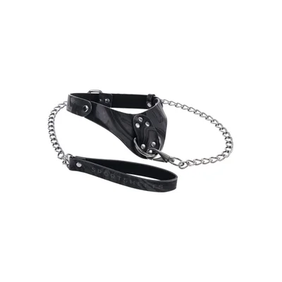 velvet noir collar and leash