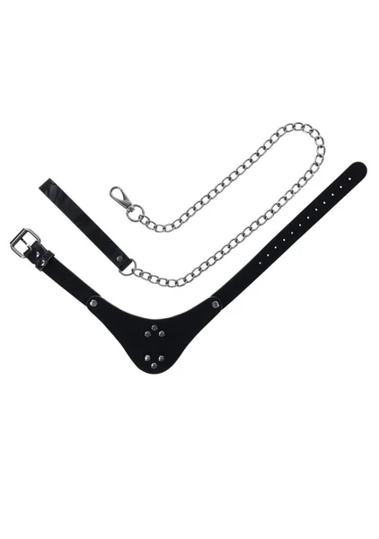 Velvet Noir Collar and Leash — image 5 of 6