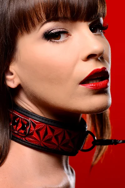 Master Series Leash And Collar Set — image 3 of 3