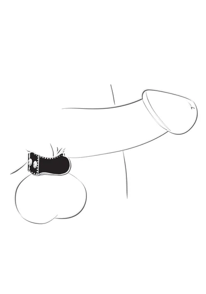 BallGear Weighted Ball Stretcher — image 2 of 3