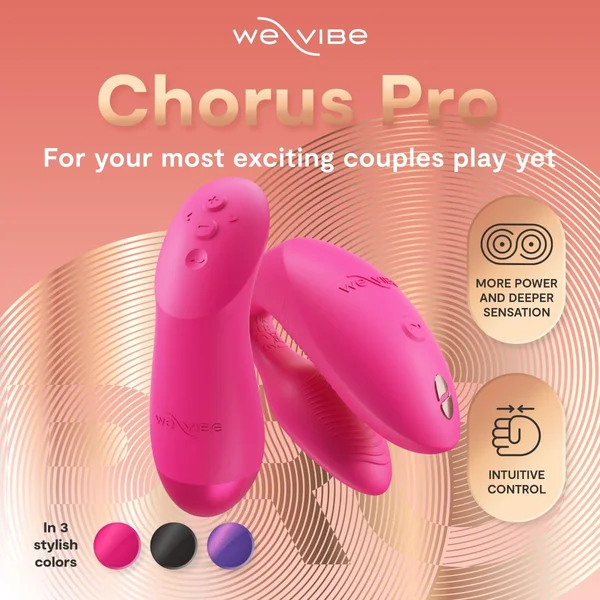 Chorus Pro — image 6 of 6