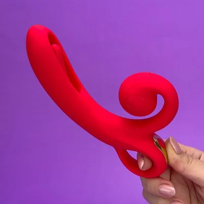 dual dynamo