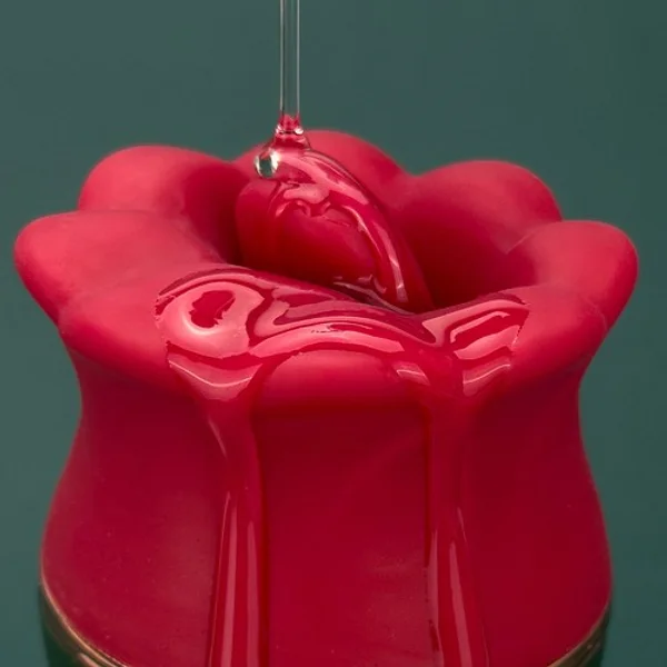 Lotus — image 4 of 11