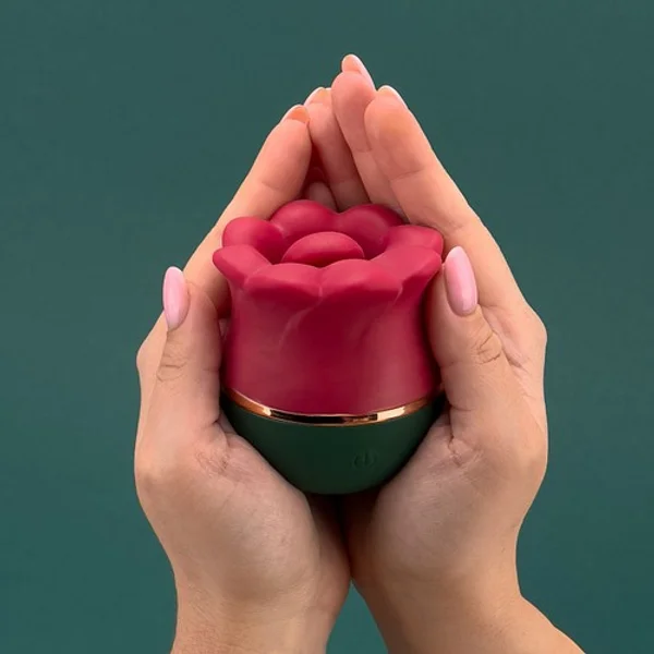 Lotus — image 2 of 11
