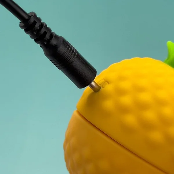 Naughty pineapple — image 6 of 6