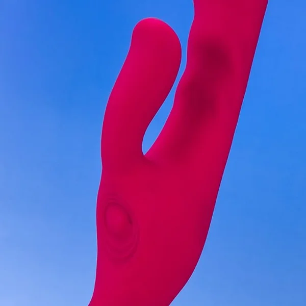 Omni — image 4 of 7
