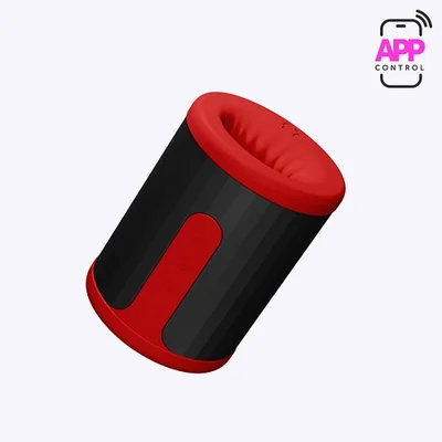 lelo f2s