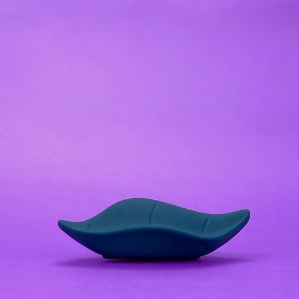 Leaf — image 14 of 15
