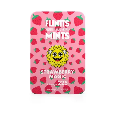 mouth watering mints 4 pack