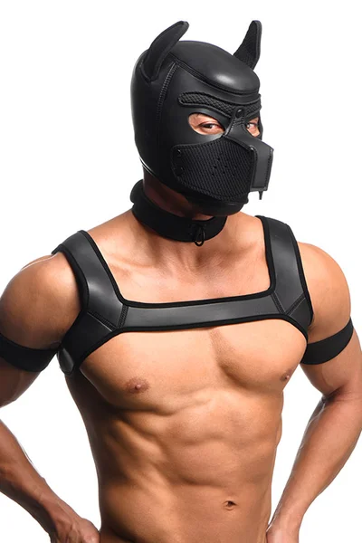 Master Series Full Pup Arsenal Neoprene Puppy Set with Hood, Chest Harness, Collar, Leash, & Arm Bands — image 4 of 4