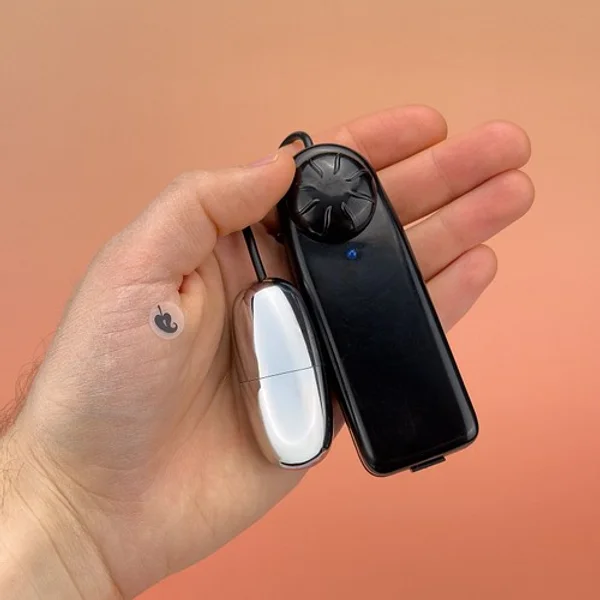 Pocket pal — image 4 of 7