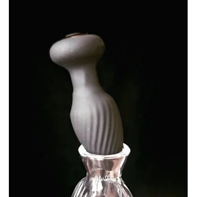 360 rotating butt plug with remote