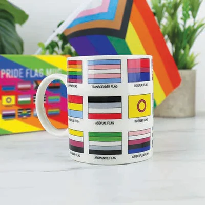 pride flag mug
