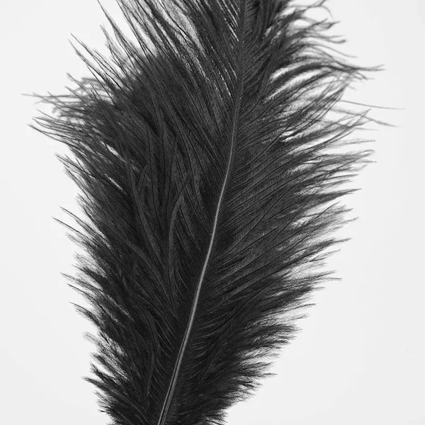Passionfruit Deluxe Gold Stem Feather — image 3 of 4
