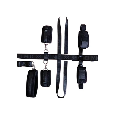 seated and mistreated universal under chair restraint system