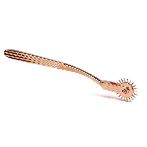Stainless Steel Pinwheel (Wartenberg Wheel) — image 2 of 8