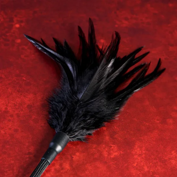 Slap & Tickle 2-Ended Teaser + Flogger — image 8 of 14