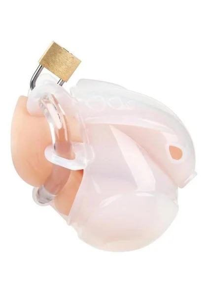 Full Restraint Silicone Cock and Balls Chastity Device — image 5 of 8
