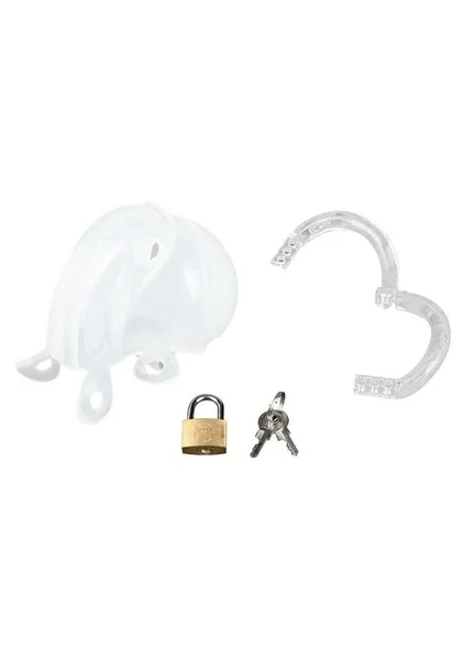 Full Restraint Silicone Cock and Balls Chastity Device — image 7 of 8
