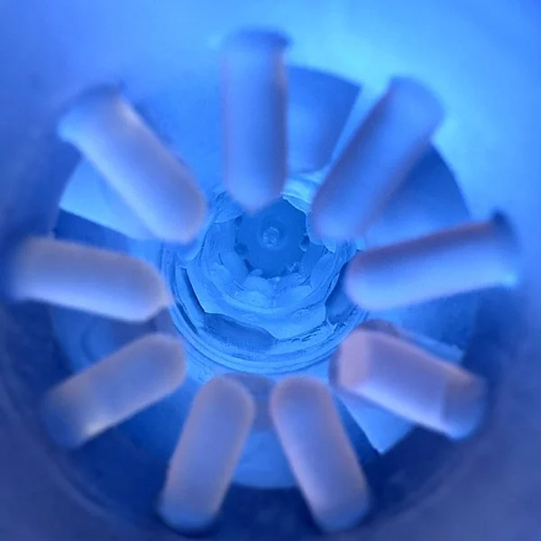 X one — image 3 of 7