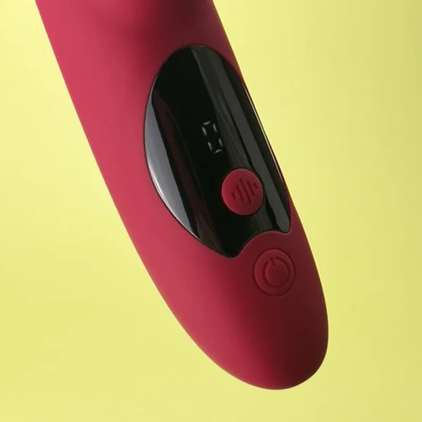 PleasureFlow forte — image 4 of 5