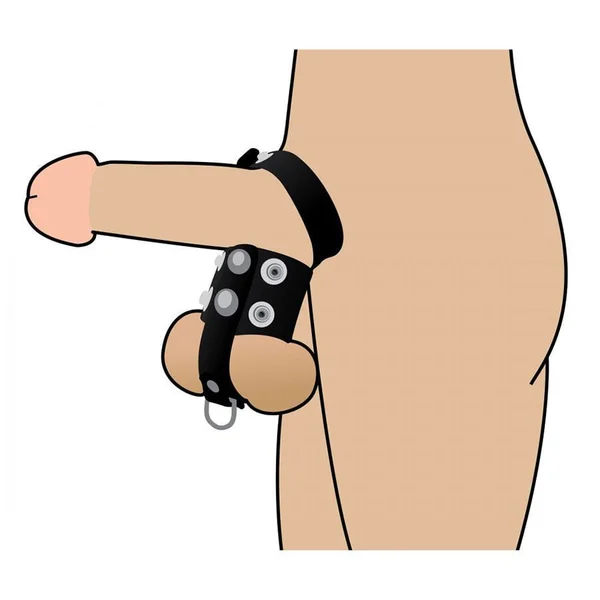 Strict Leather Adjustable Cock Strap and Ball Stretcher — image 3 of 4