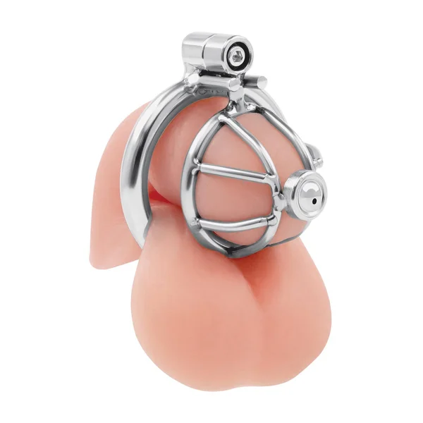 Lockmaster Stainless Steel Inverted Micro Chastity Cage with Urethral Straw — image 5 of 5