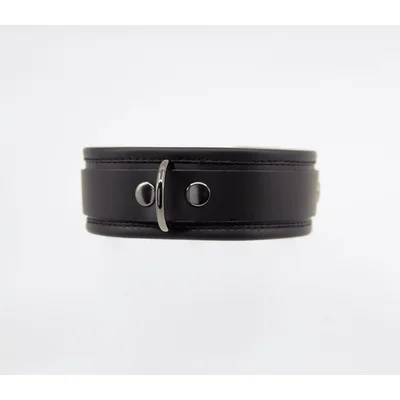 lil leather collar with pewter hardware