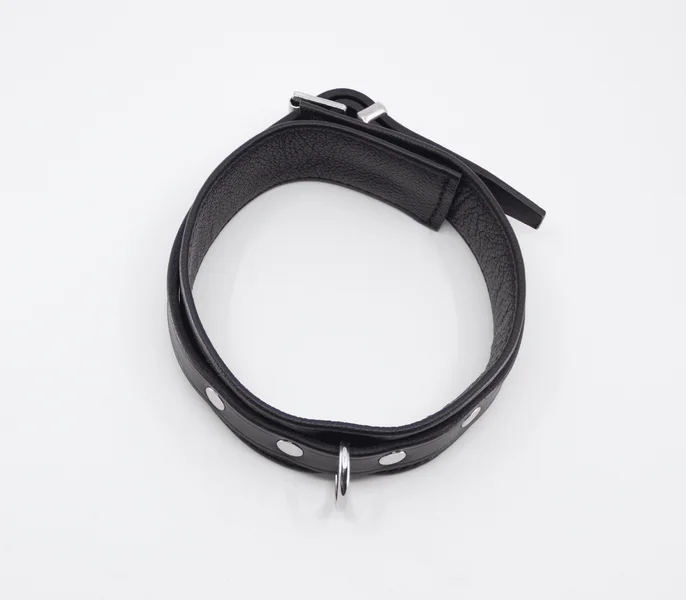 LIL Leather Collar with D Ring — image 6 of 6