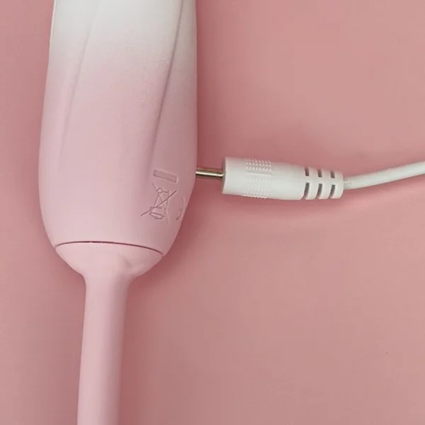 Connection Roseline — image 6 of 6