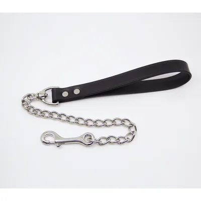 lil chain leash with leather handle