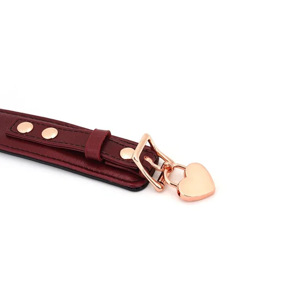 Wine Red Deluxe Curved Collar with Chain Leash and Lock — image 4 of 8