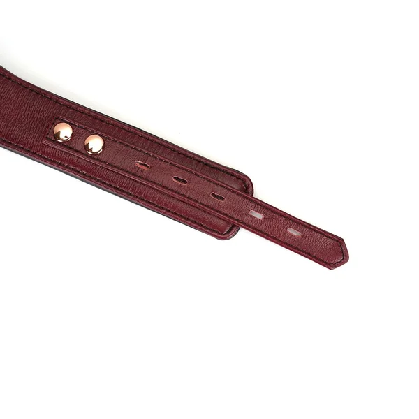Wine Red Deluxe Curved Collar with Chain Leash and Lock — image 6 of 8