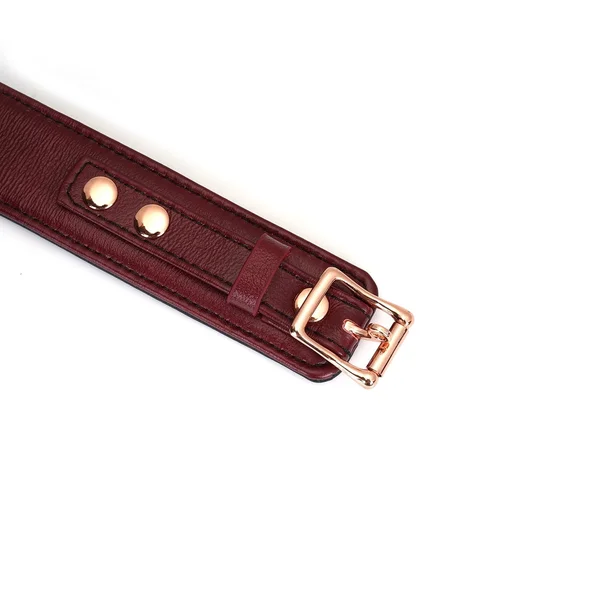 Wine Red Deluxe Curved Collar with Chain Leash and Lock — image 5 of 8